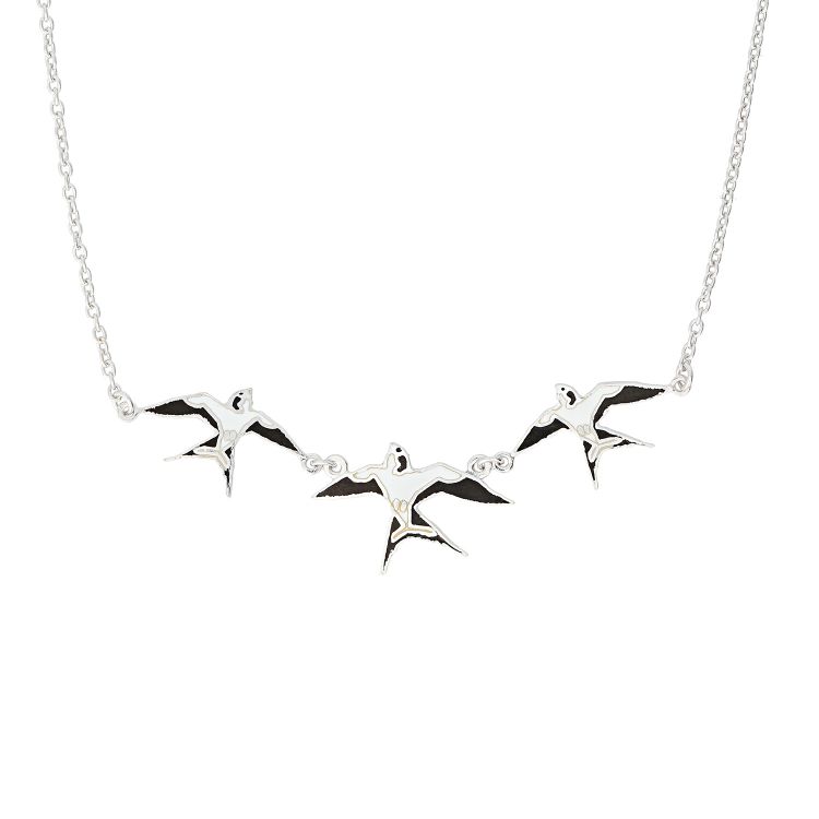 Pilt Kaelakee pääsukestega