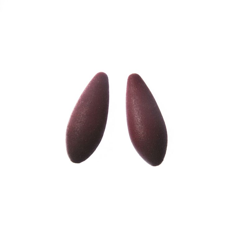 Pilt Tanel Veenre Jewellery Earberries "Mini Cranberries" kõrvarõngad