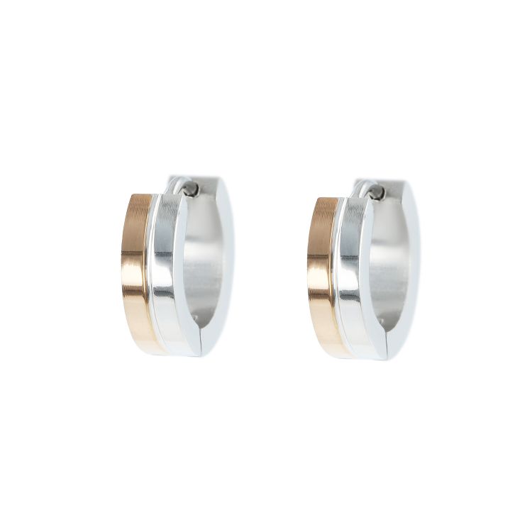 Pilt Kõrvarõngad teras