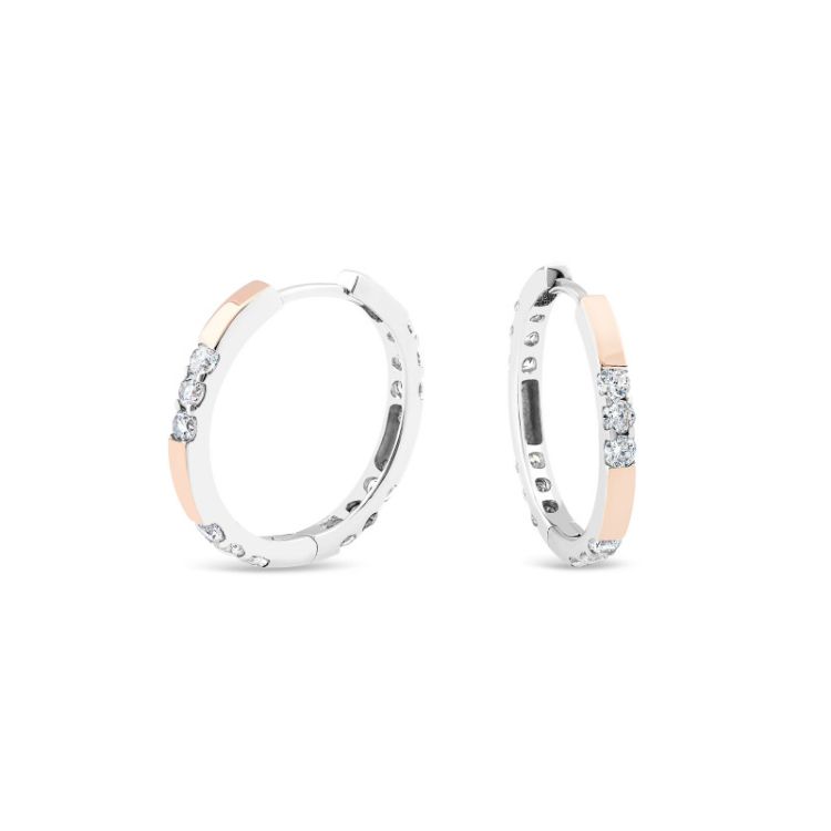 Pilt Svitozar kõrvarõngad CZ