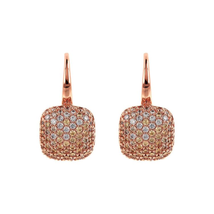 Pilt Bronzallure Kõrvarõngad