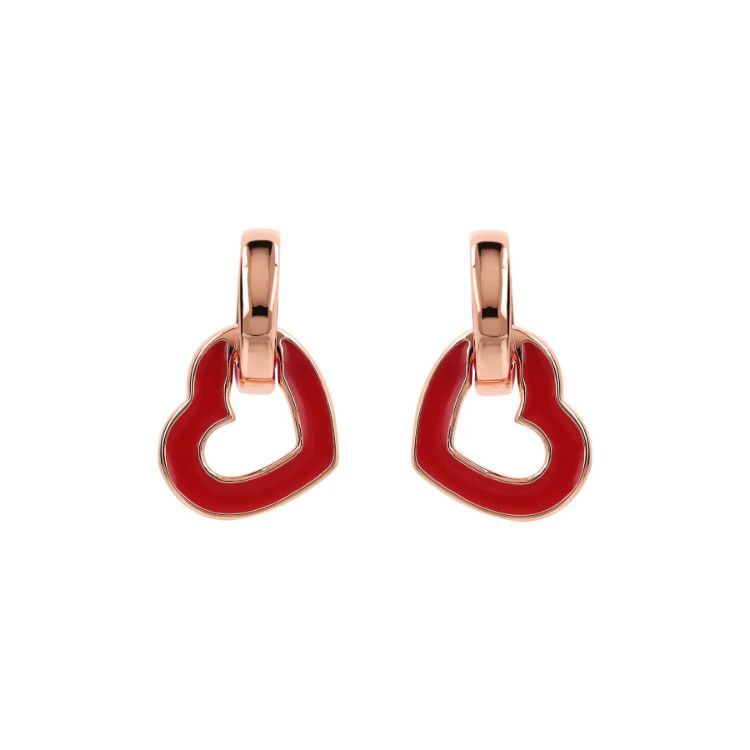 Pilt Bronzallure kõrvarõngad