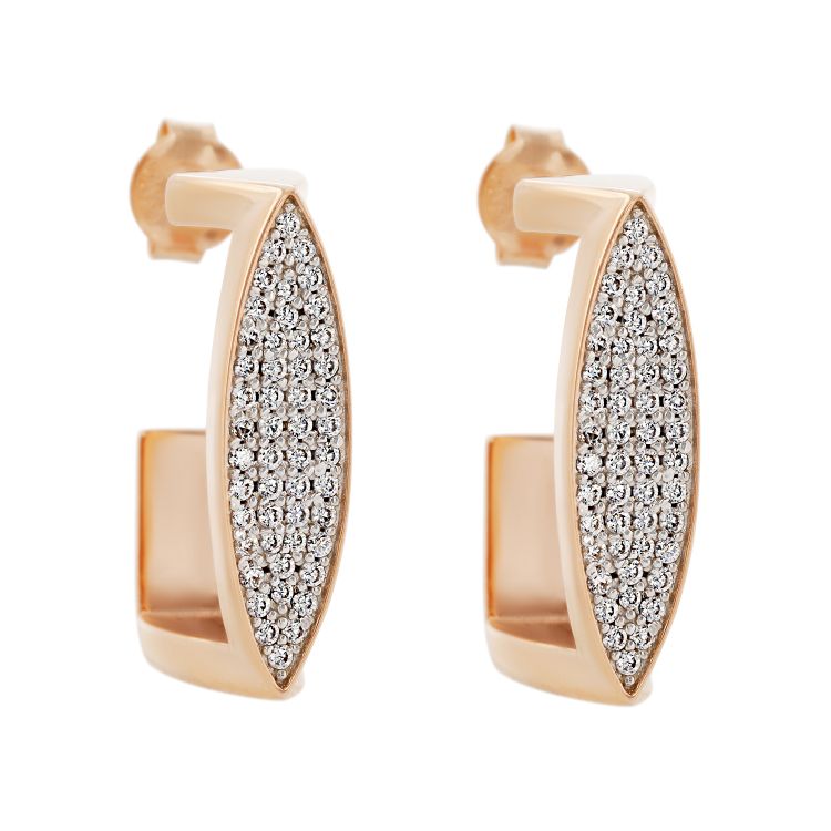 Pilt Kõrvarõngad CZ