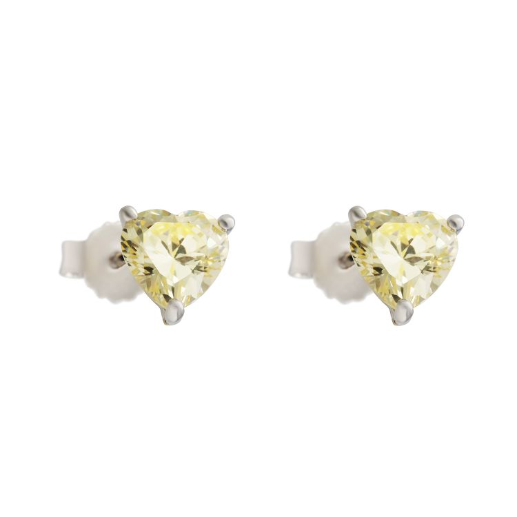 Pilt Kõrvarõngad CZ