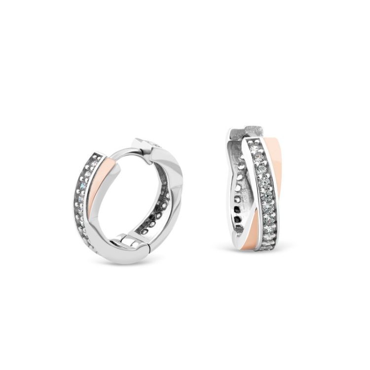 Pilt Svitozar kõrvarõngad CZ