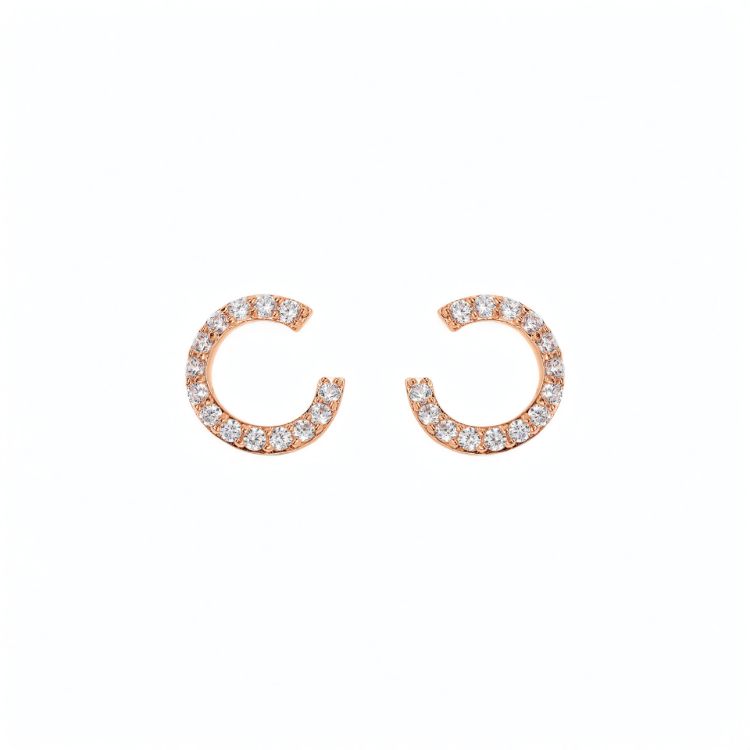 Pilt Bronzallure kõrvarõngad