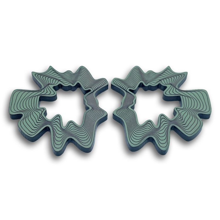 Pilt MO:ON Kõrvarõngad Wave II