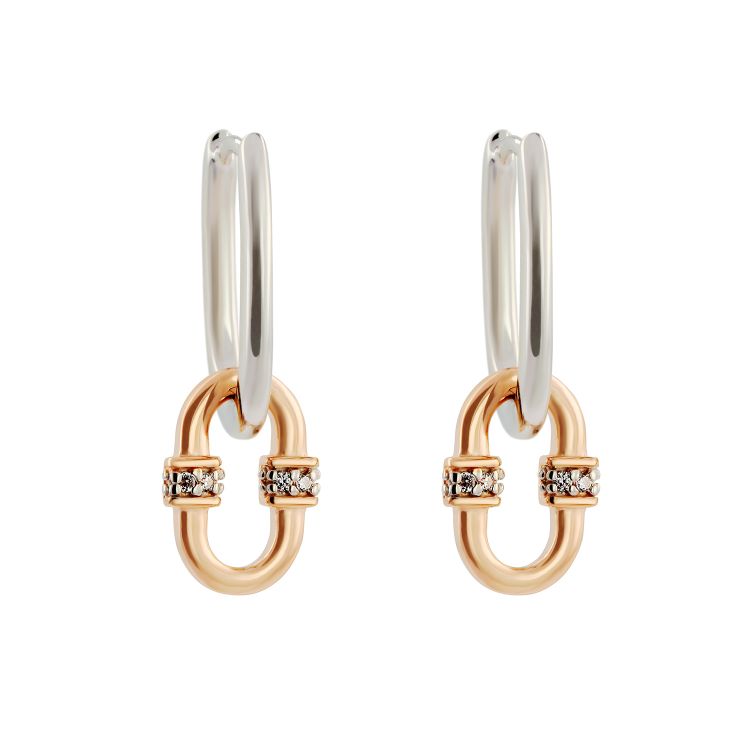 Pilt Kõrvarõngad CZ