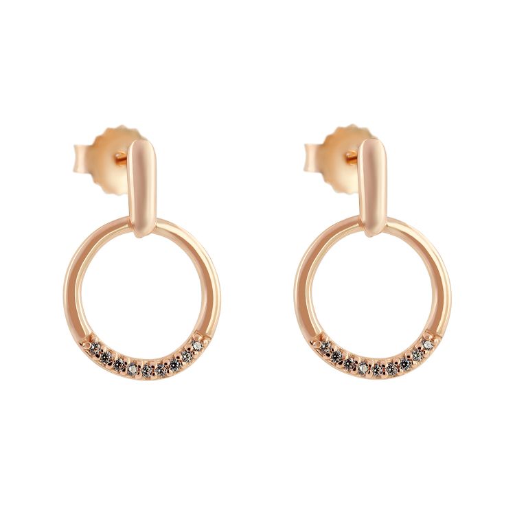 Pilt Kõrvarõngad CZ