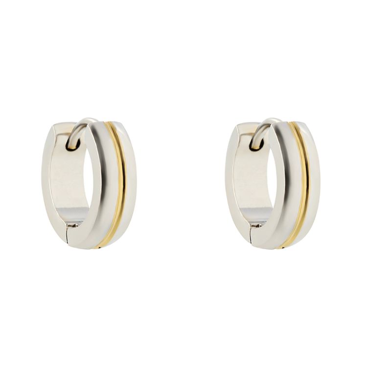 Pilt Kõrvarõngad teras