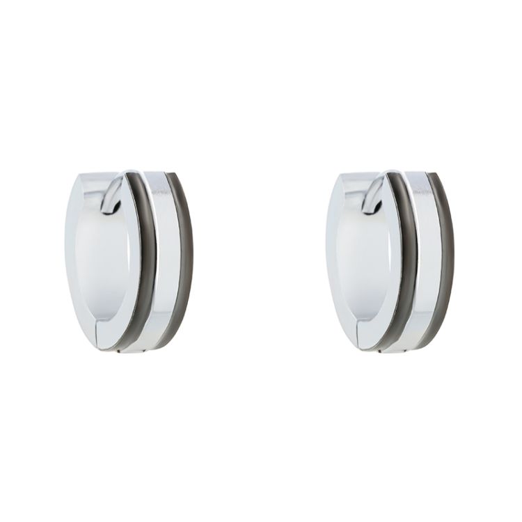 Pilt Kõrvarõngad teras