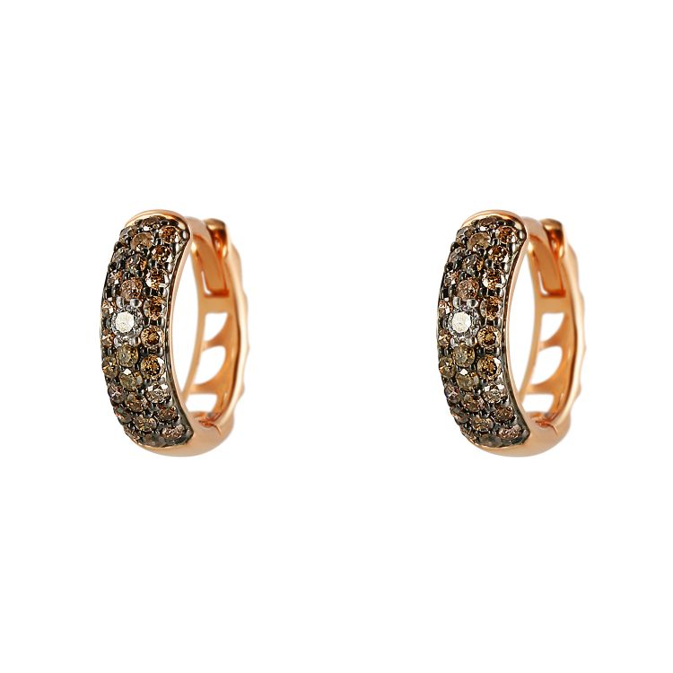 Pilt Kõrvarõngad teemantidega